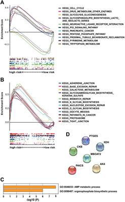 A Prognostic Survival Model of Pancreatic Adenocarcinoma Based on Metabolism-Related Gene Expression